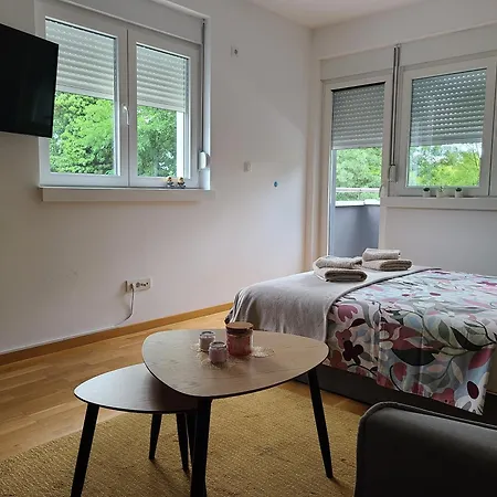 Zivkovic Apartamento Vrnjačka Banja
